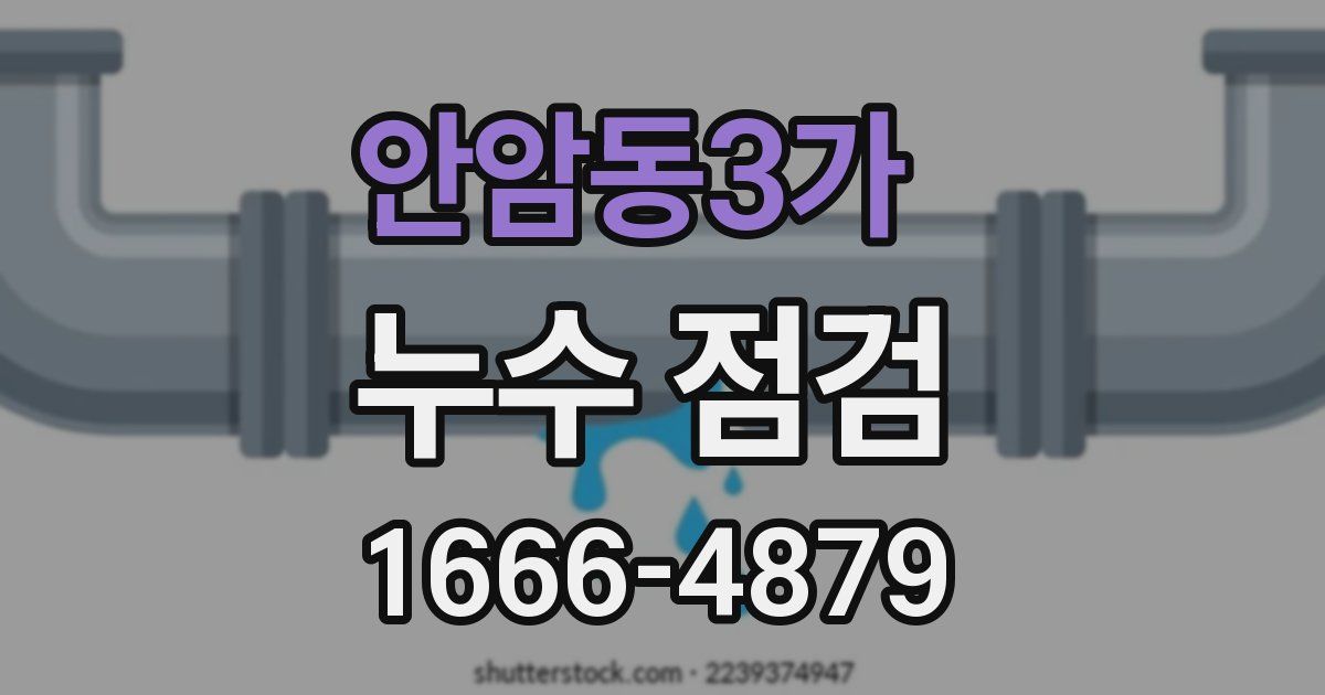 안암동3가 누수 점검