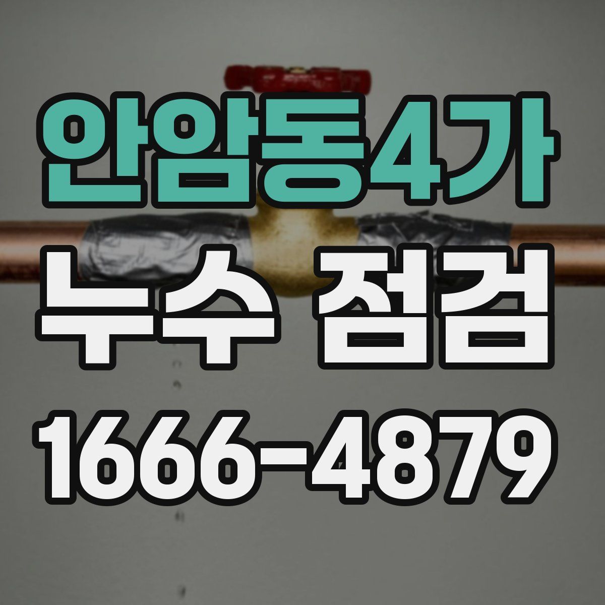 안암동4가 누수 점검