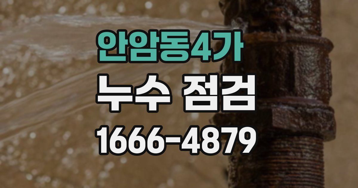 안암동4가 누수 점검
