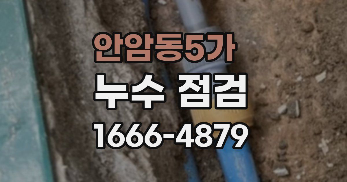 안암동5가 누수 점검