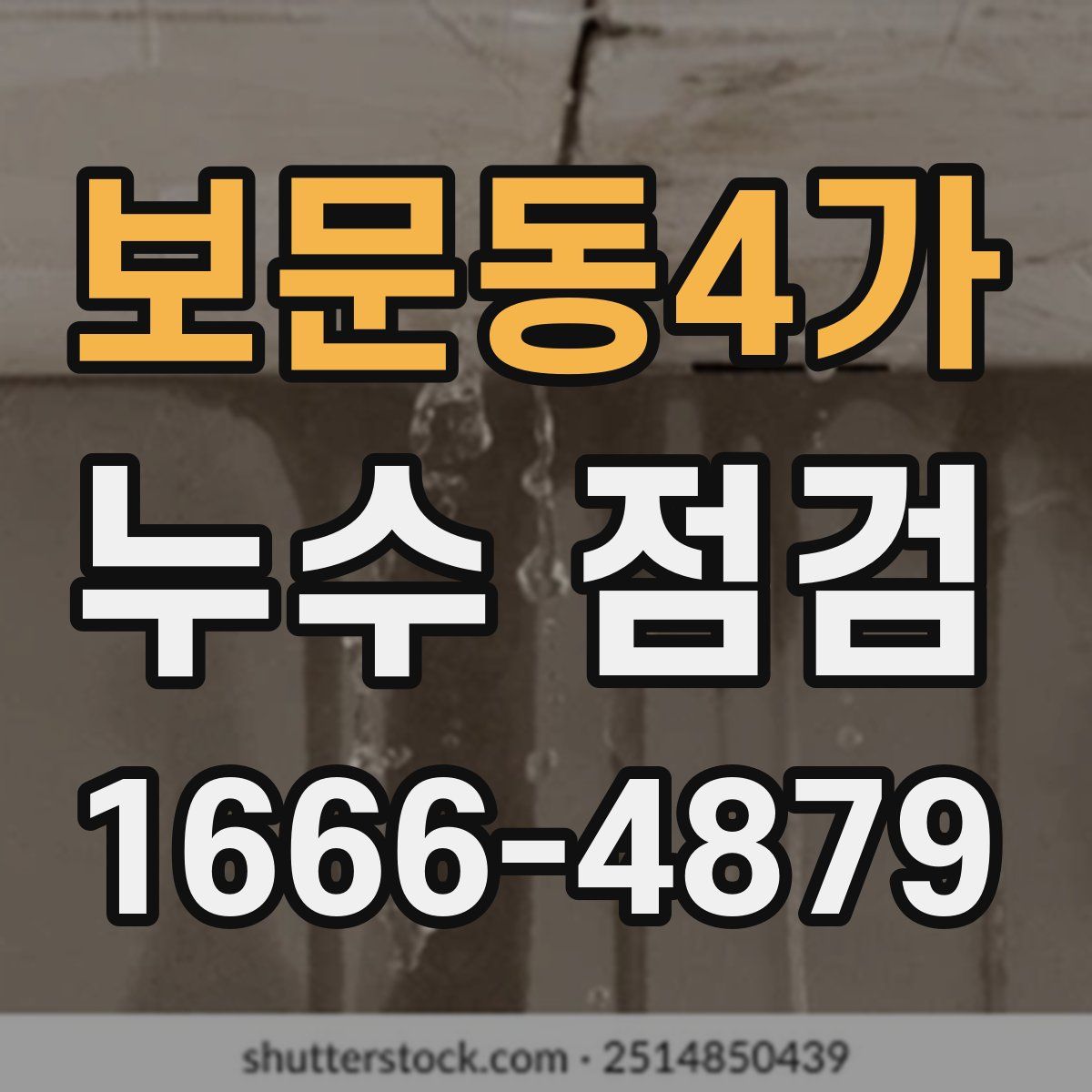 보문동4가 누수 점검