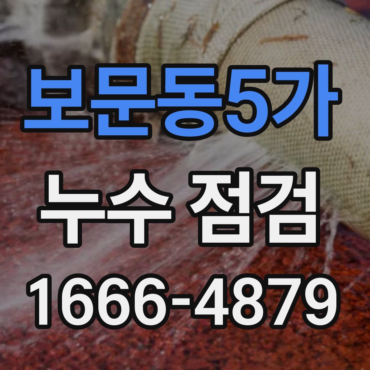 보문동5가 누수 점검