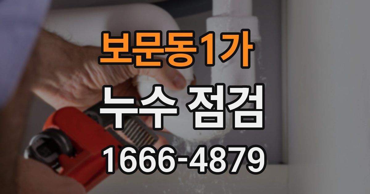 보문동1가 누수 점검