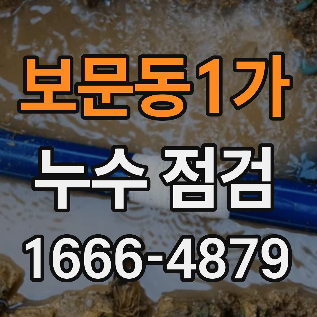 보문동1가 누수 점검