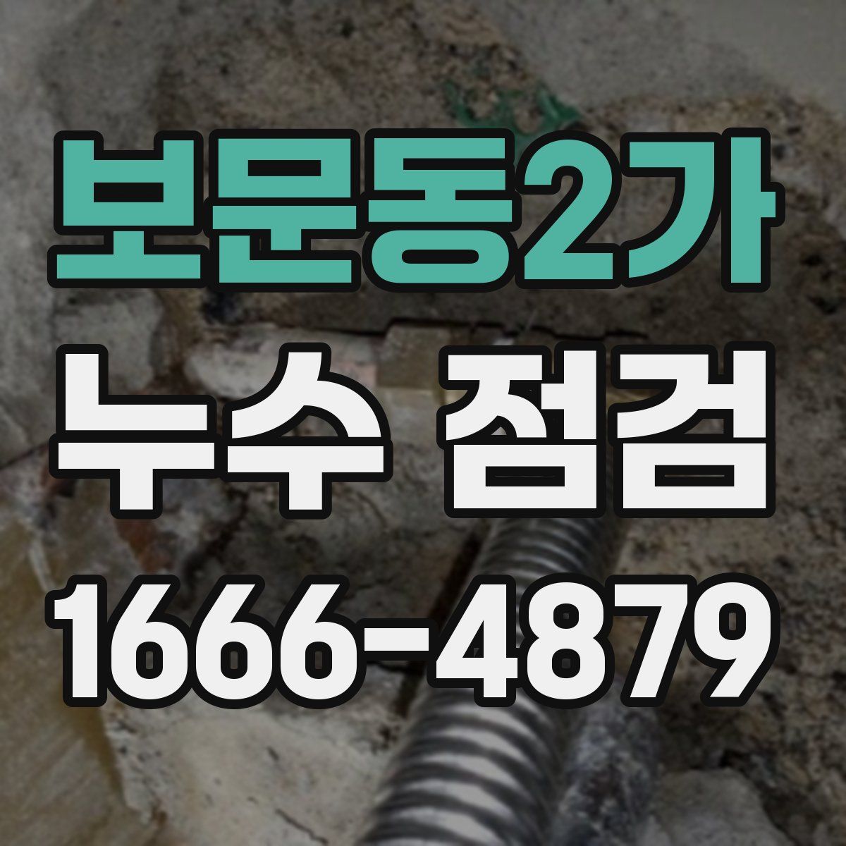 보문동2가 누수 점검