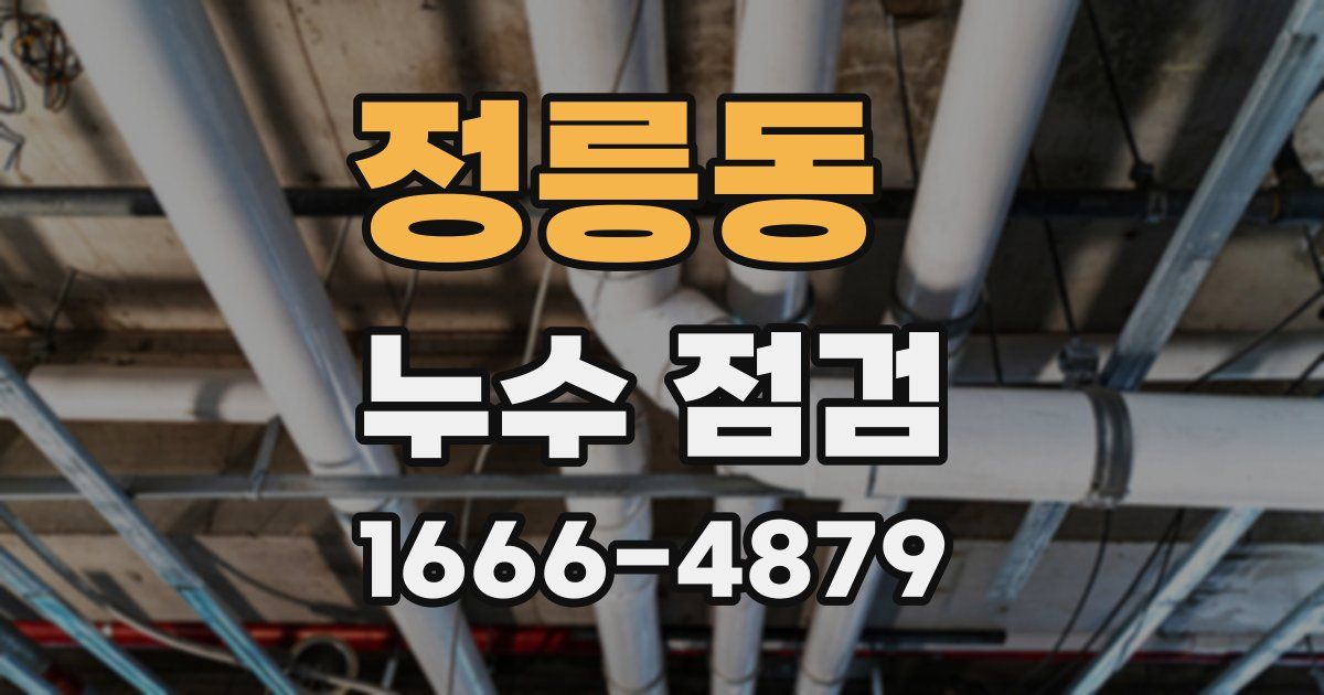 정릉동 누수 점검