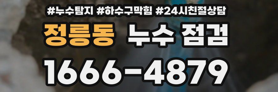 정릉동 누수 점검