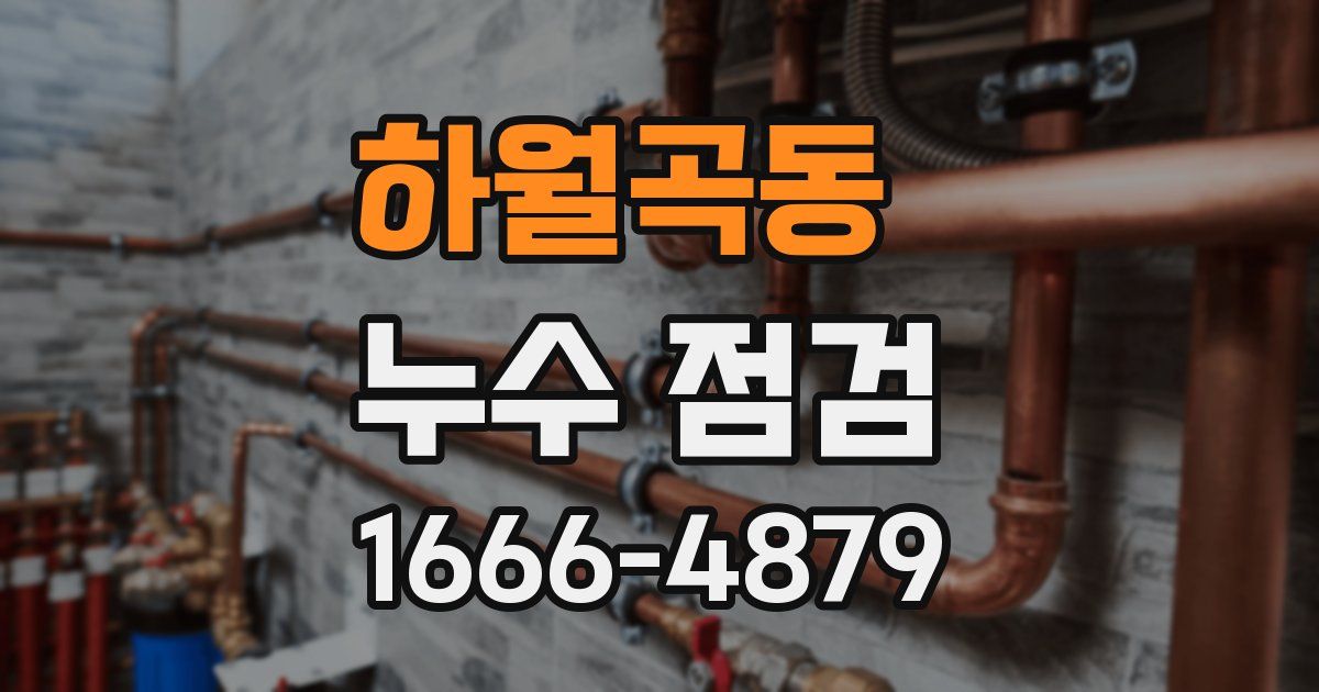 하월곡동 누수 점검