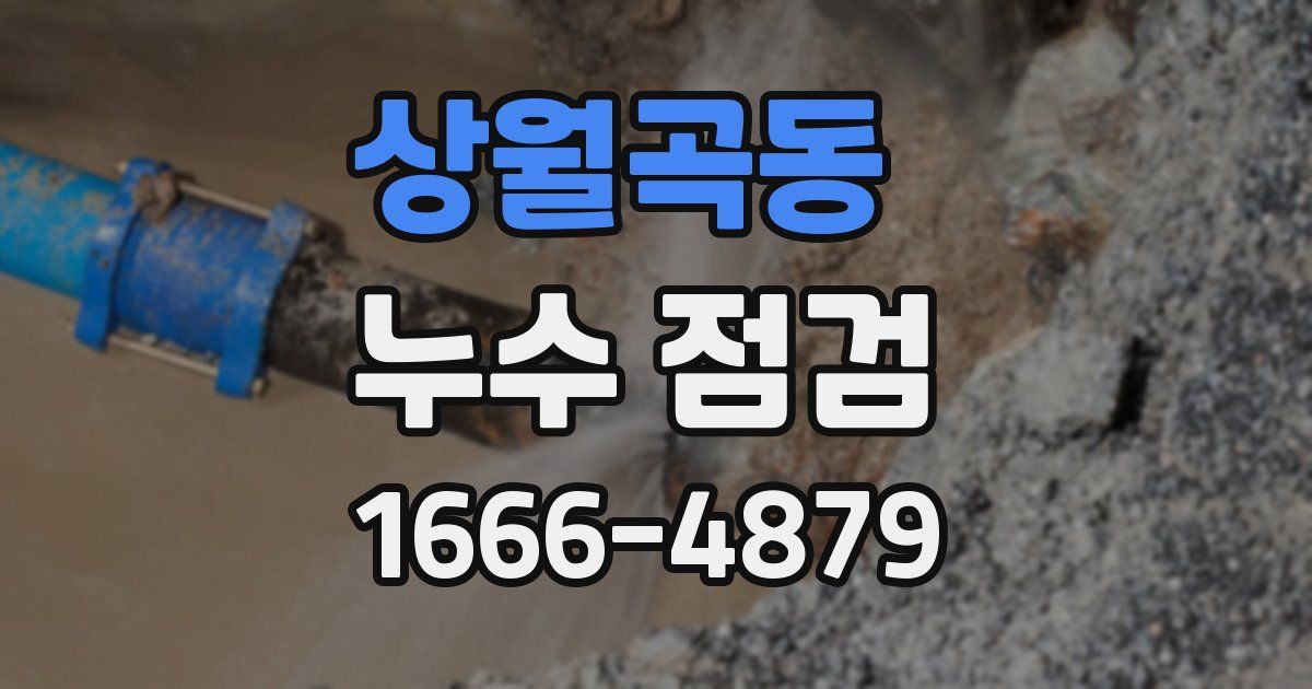 상월곡동 누수 점검