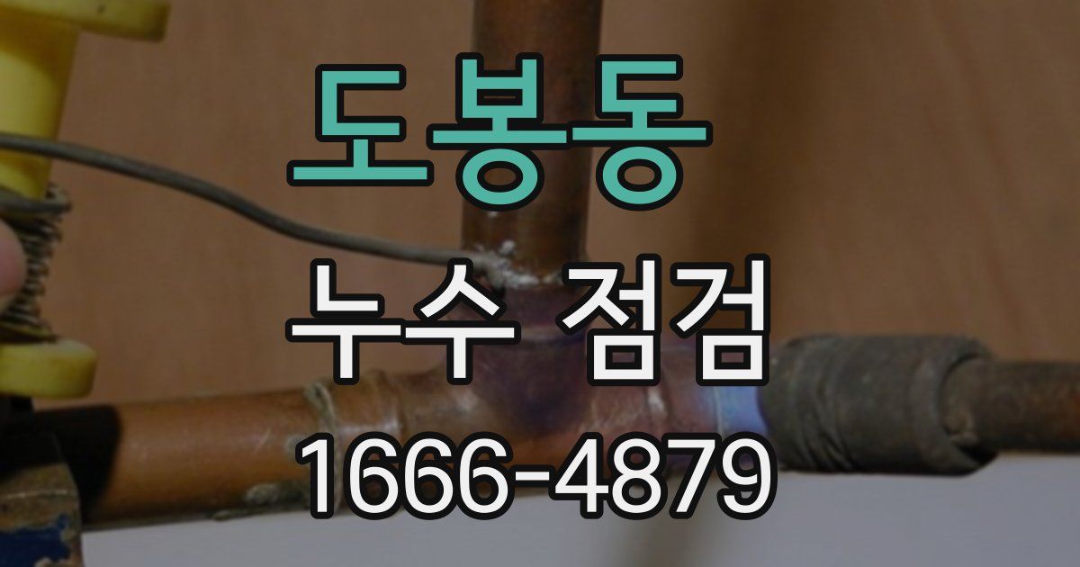 도봉동 누수 점검