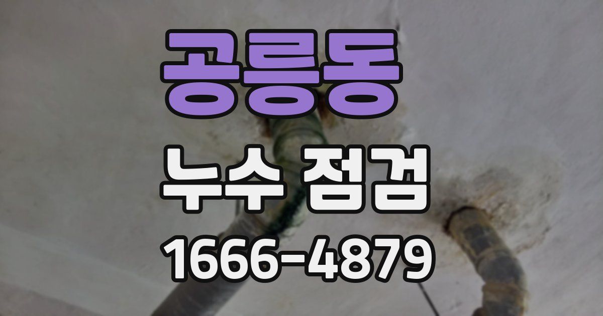 공릉동 누수 점검