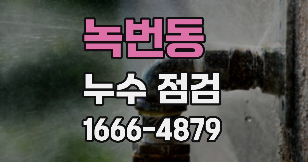 녹번동 누수 점검