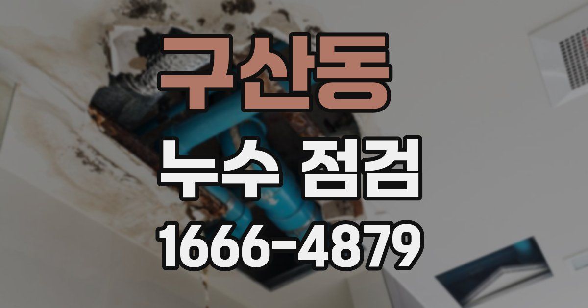 구산동 누수 점검