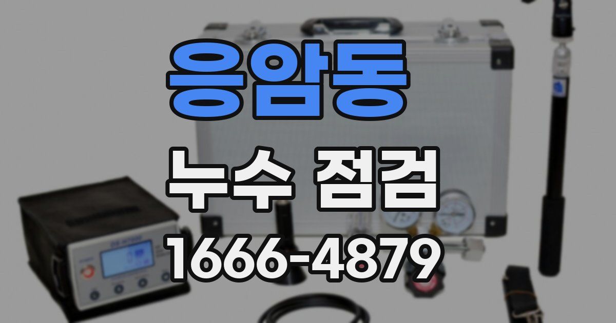 응암동 누수 점검