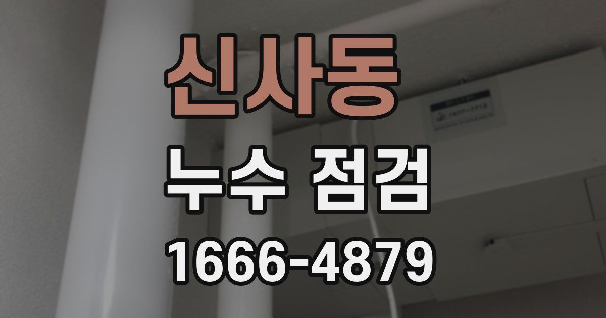 신사동 누수 점검