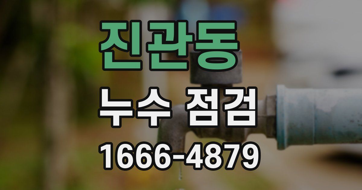 진관동 누수 점검