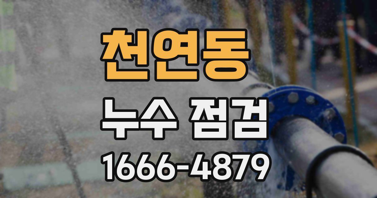 천연동 누수 점검