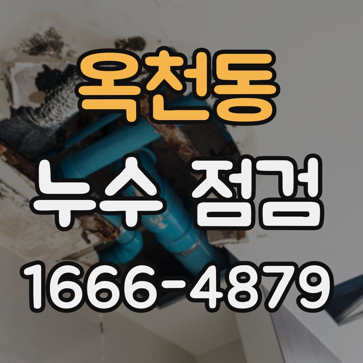 옥천동 누수 점검