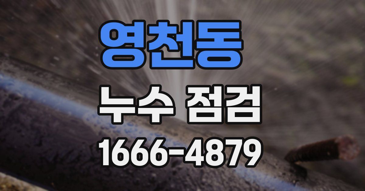 영천동 누수 점검