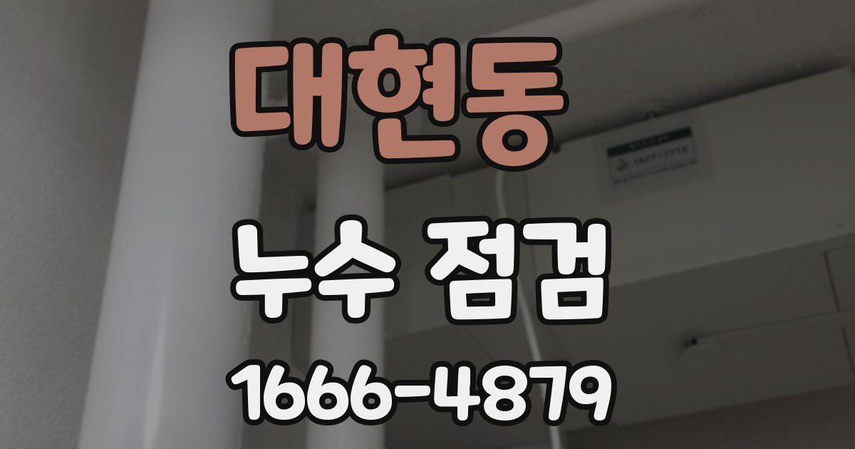 대현동 누수 점검