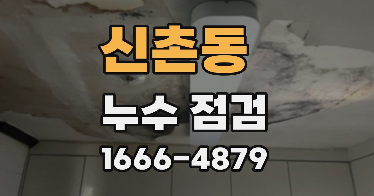 신촌동 누수 점검