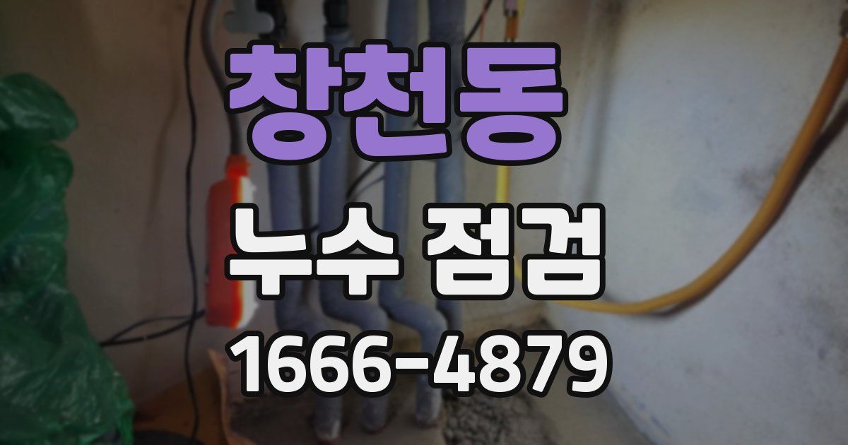 창천동 누수 점검