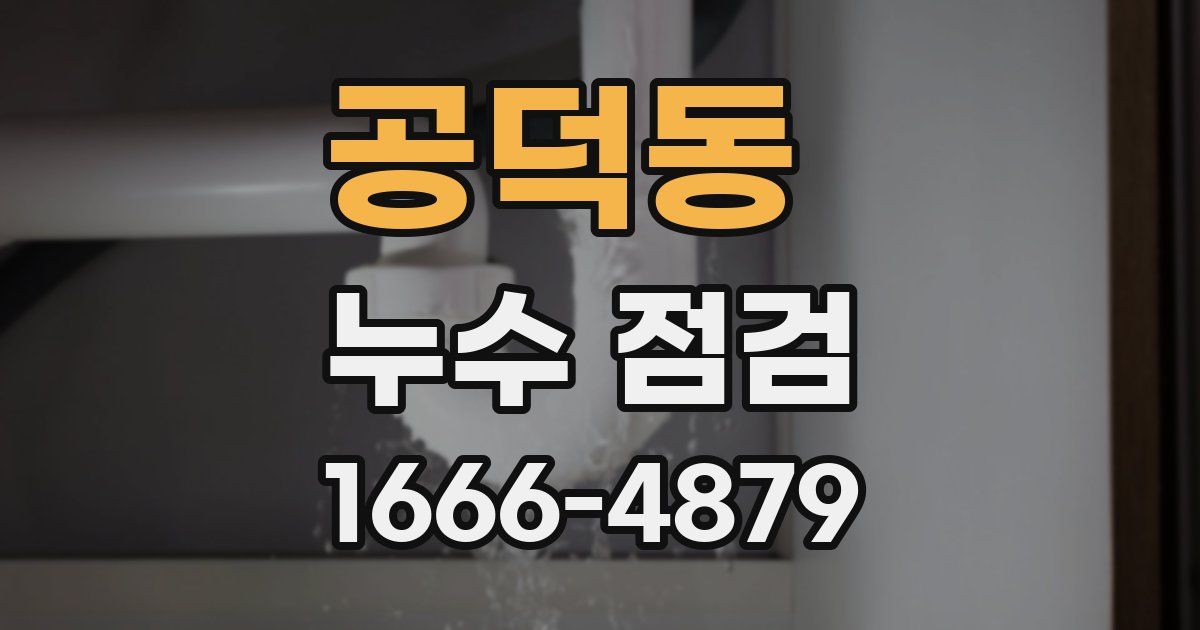 공덕동 누수 점검