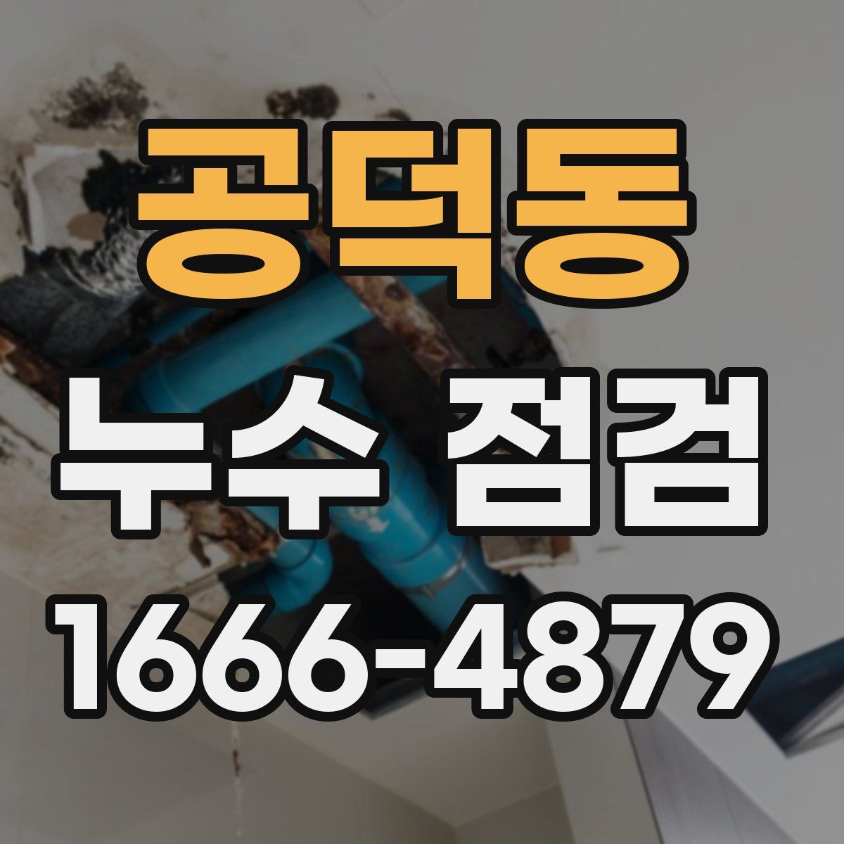 공덕동 누수 점검
