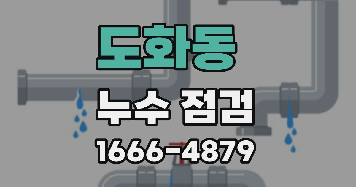 도화동 누수 점검