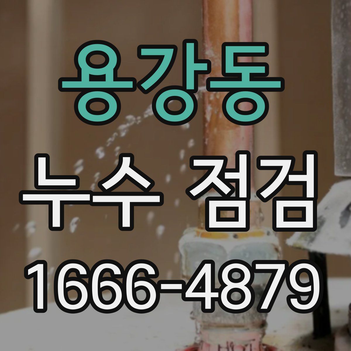 용강동 누수 점검