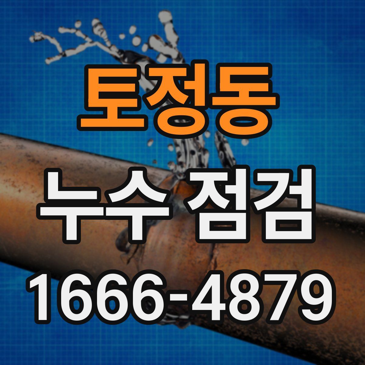 토정동 누수 점검