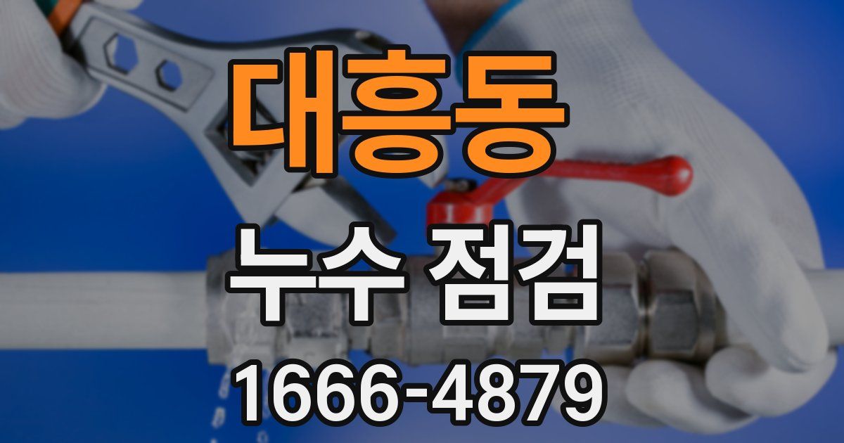 대흥동 누수 점검