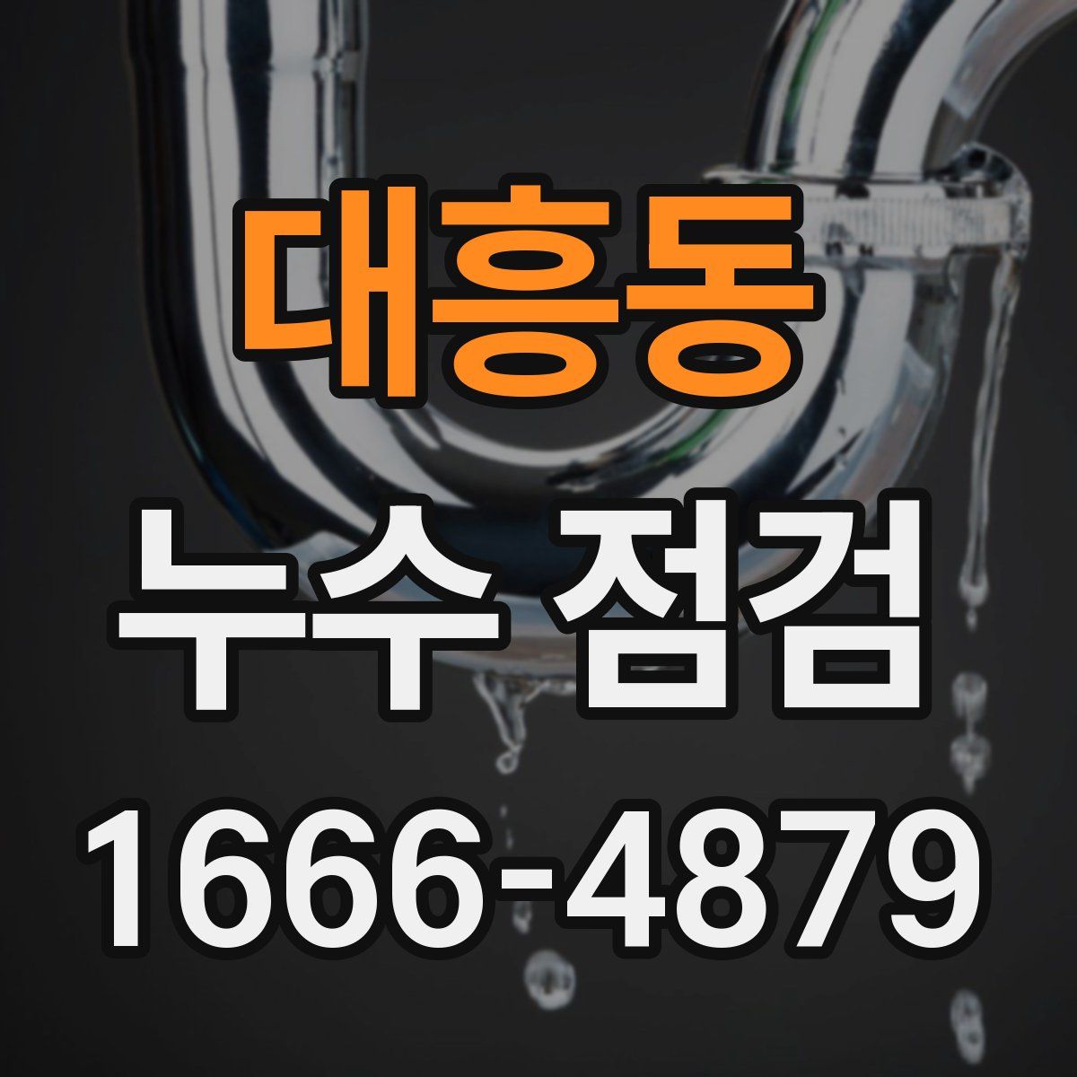 대흥동 누수 점검