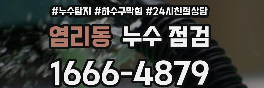 염리동 누수 점검