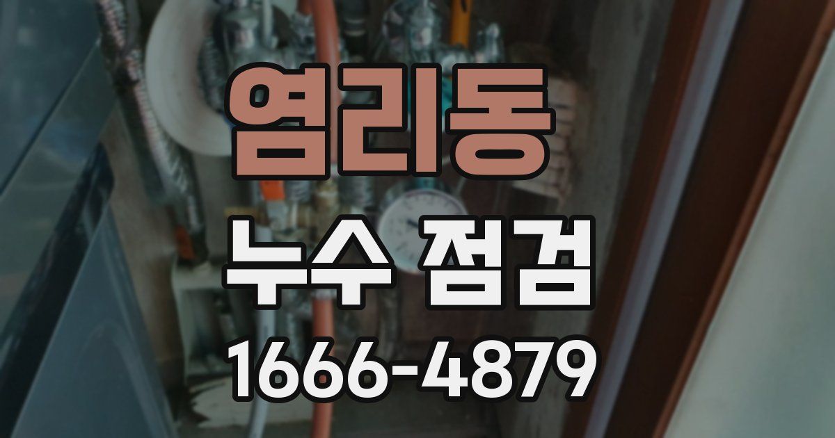 염리동 누수 점검
