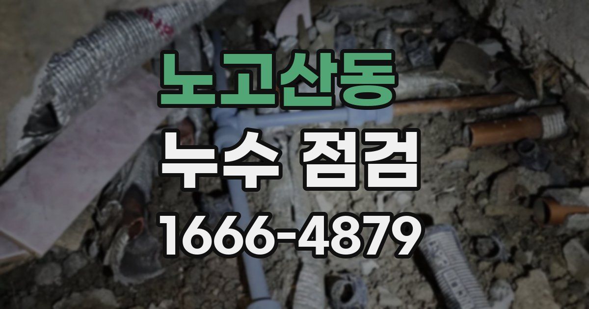 노고산동 누수 점검