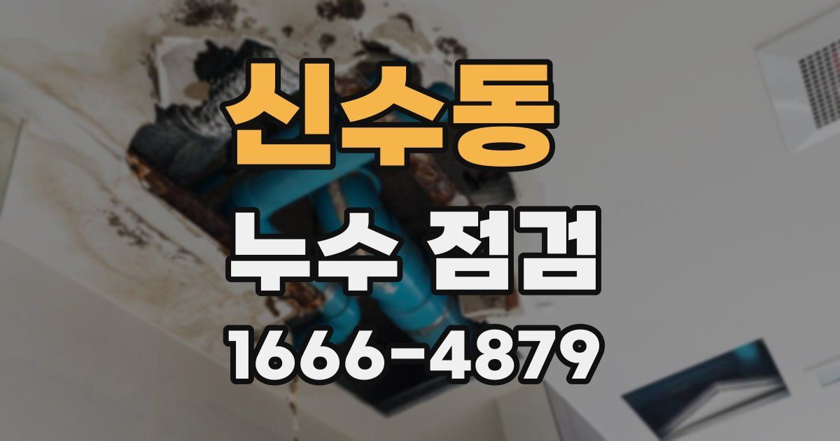 신수동 누수 점검