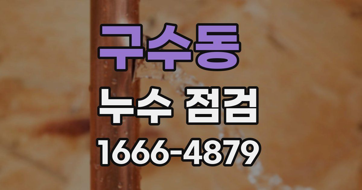 구수동 누수 점검