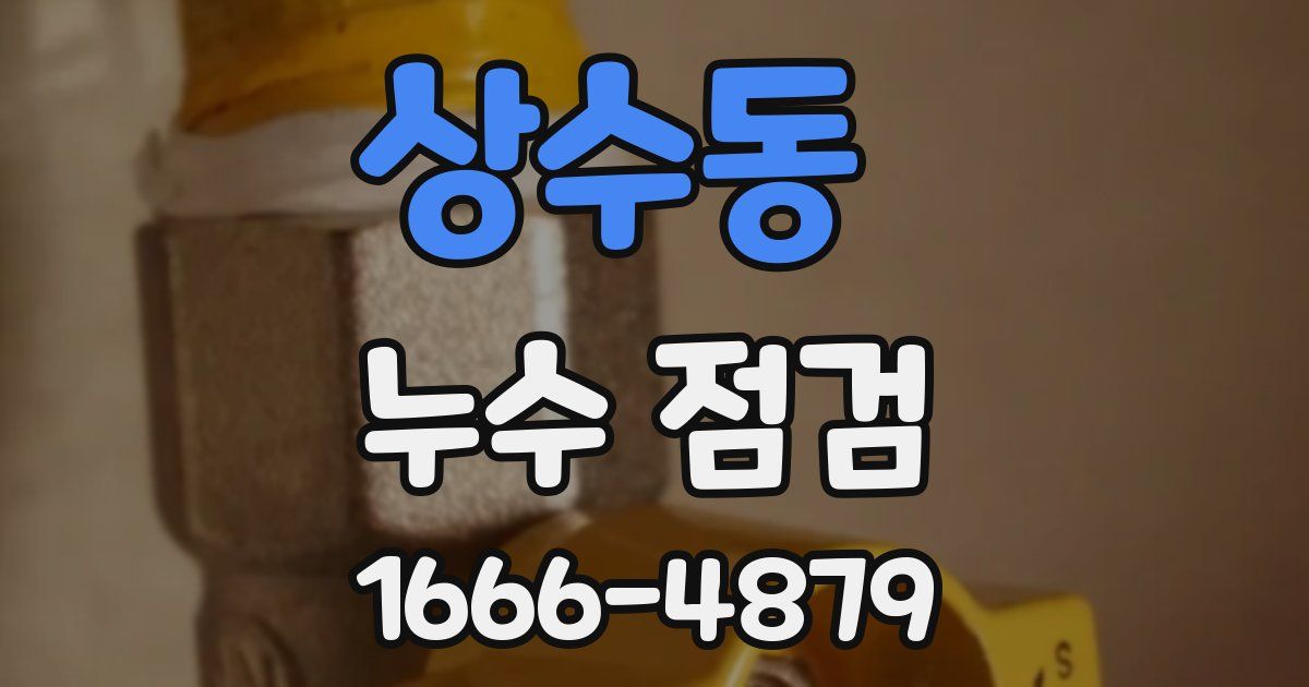 상수동 누수 점검