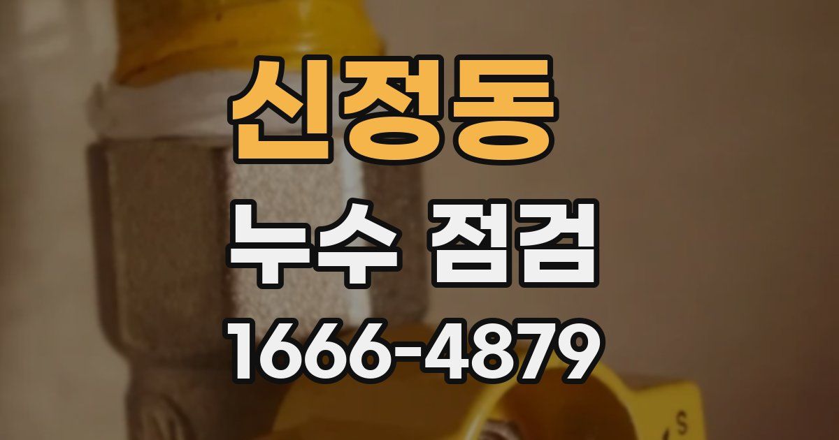 신정동 누수 점검