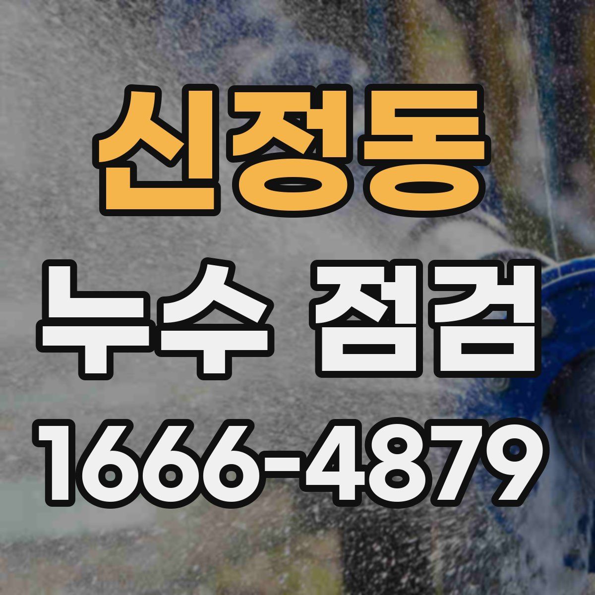 신정동 누수 점검
