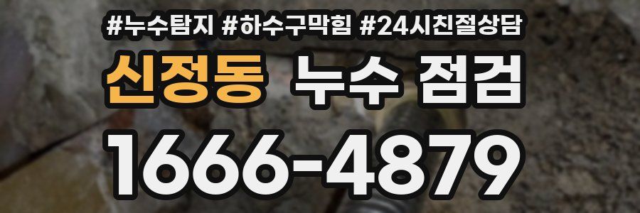 신정동 누수 점검