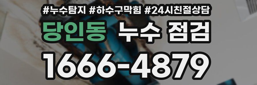 당인동 누수 점검