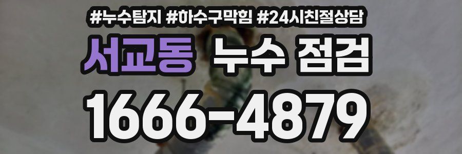 서교동 누수 점검