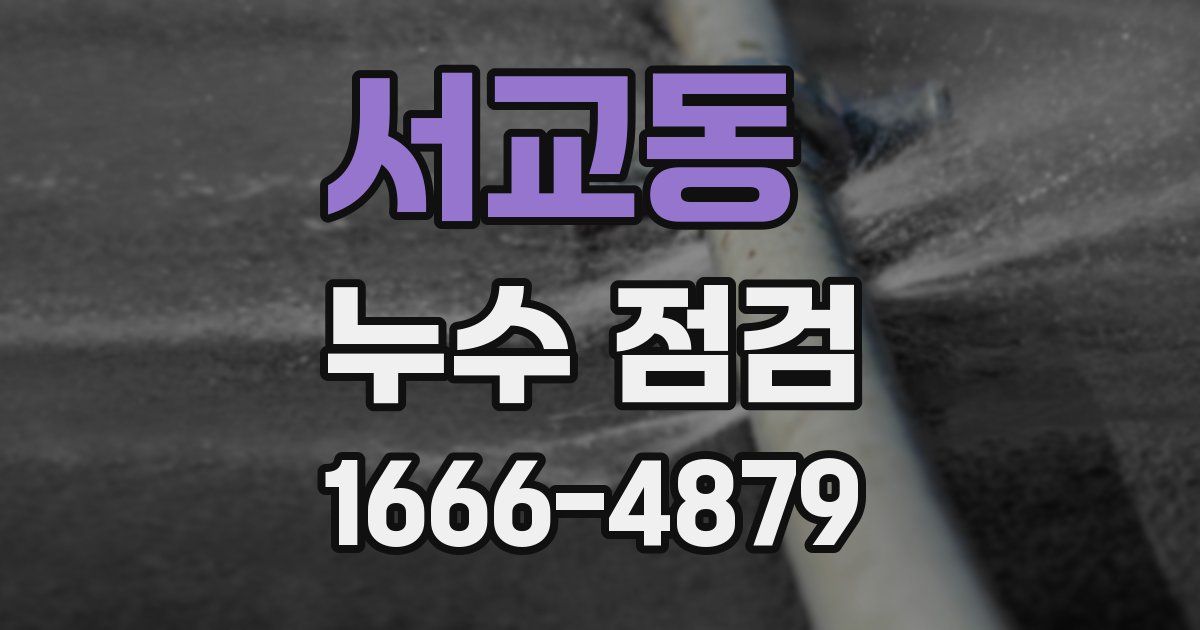 서교동 누수 점검