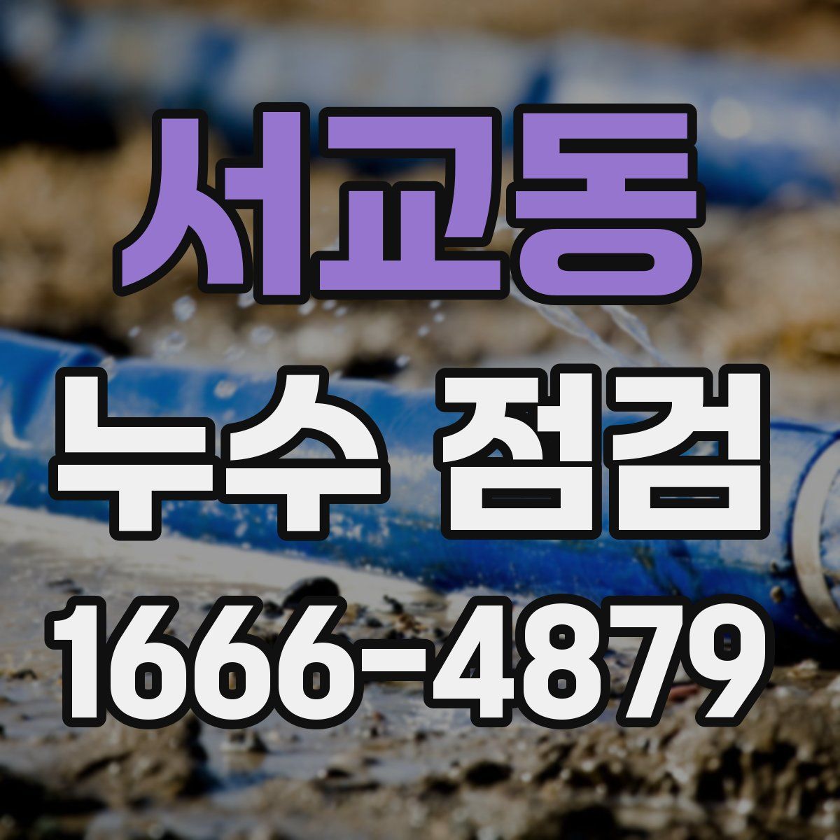 서교동 누수 점검