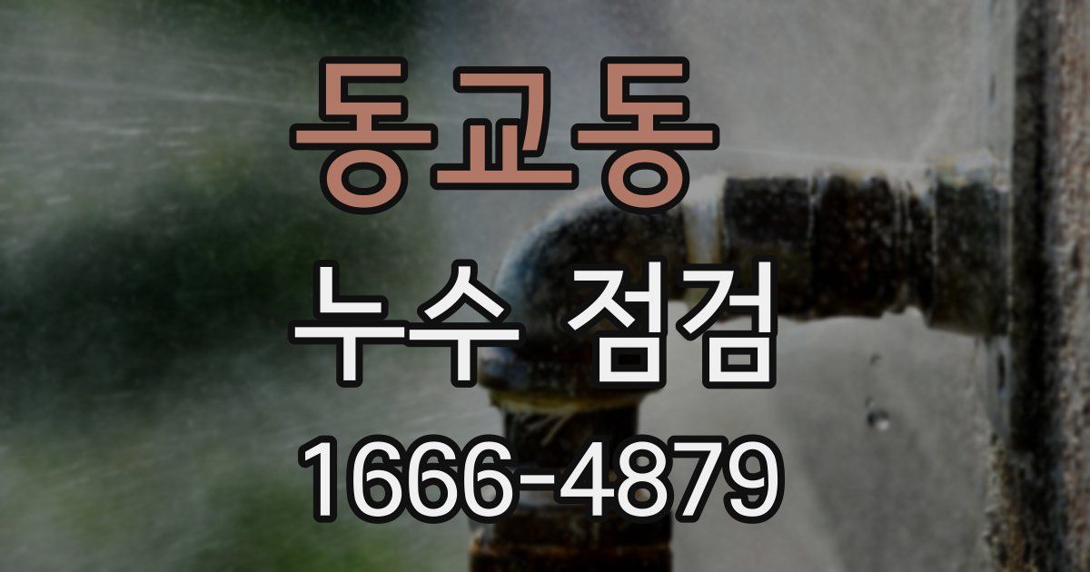 동교동 누수 점검