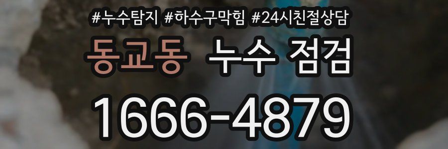 동교동 누수 점검