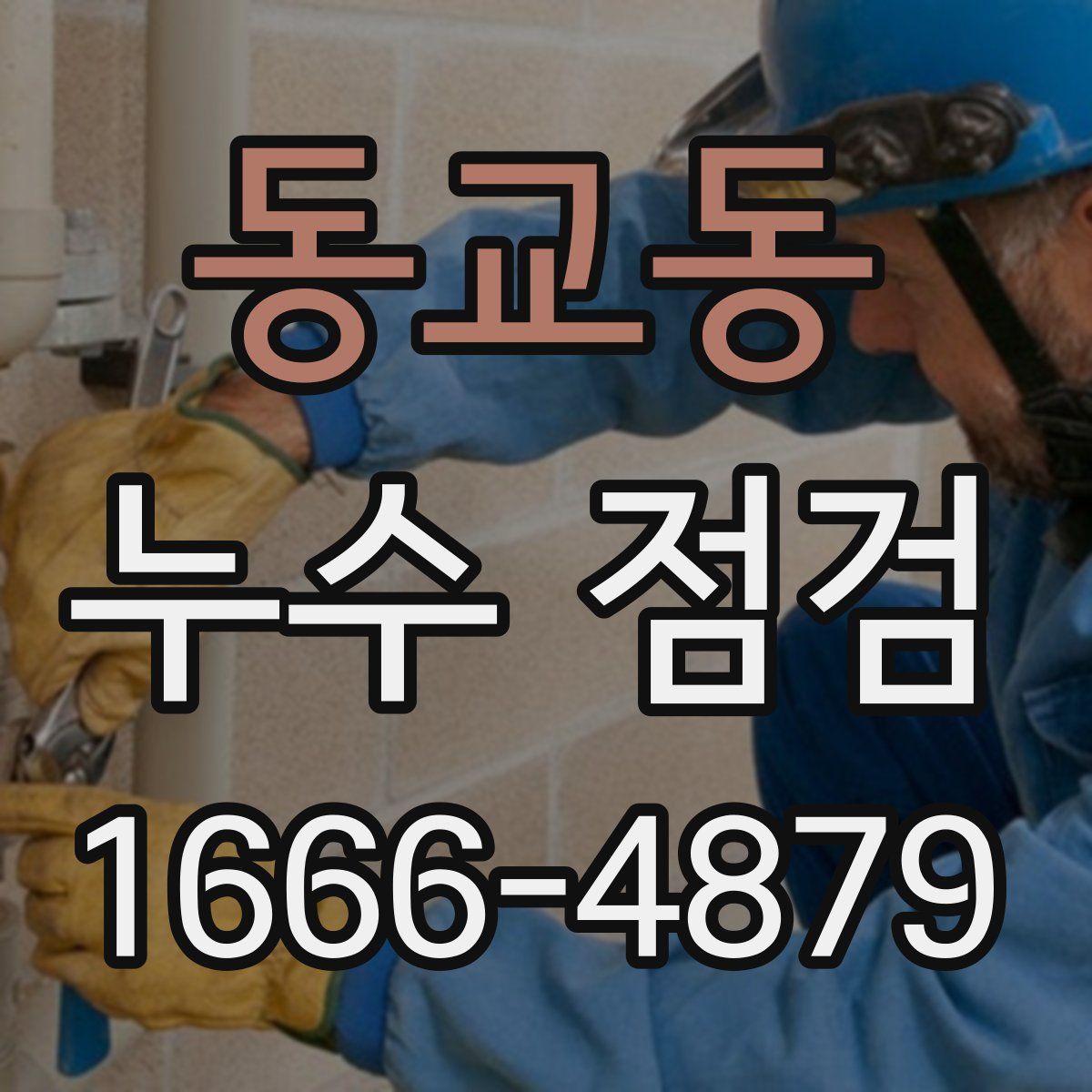동교동 누수 점검