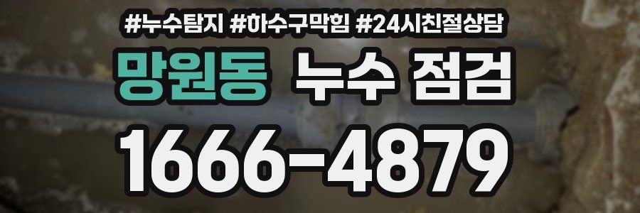 망원동 누수 점검